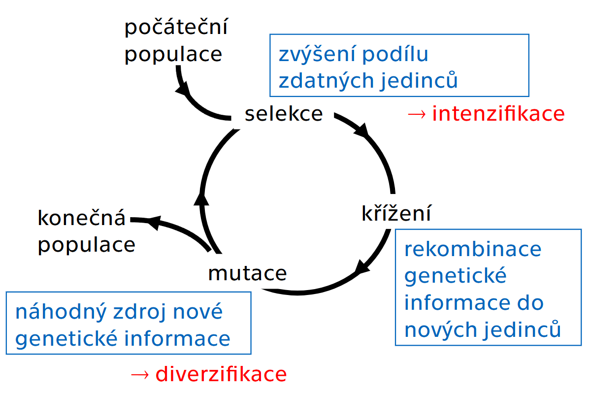 Pasted image 20250121163328.png